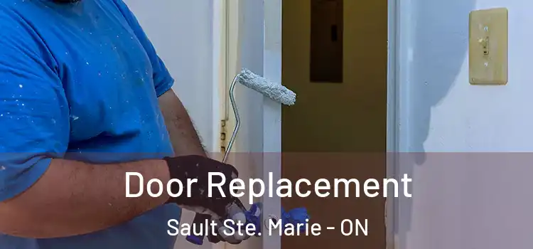  Door Replacement Sault Ste. Marie - ON