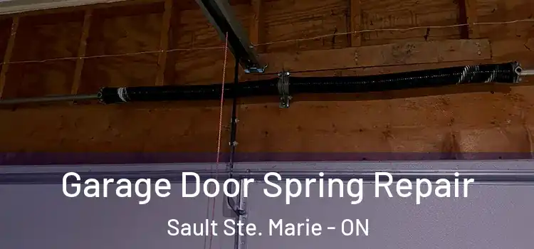  Garage Door Spring Repair Sault Ste. Marie - ON
